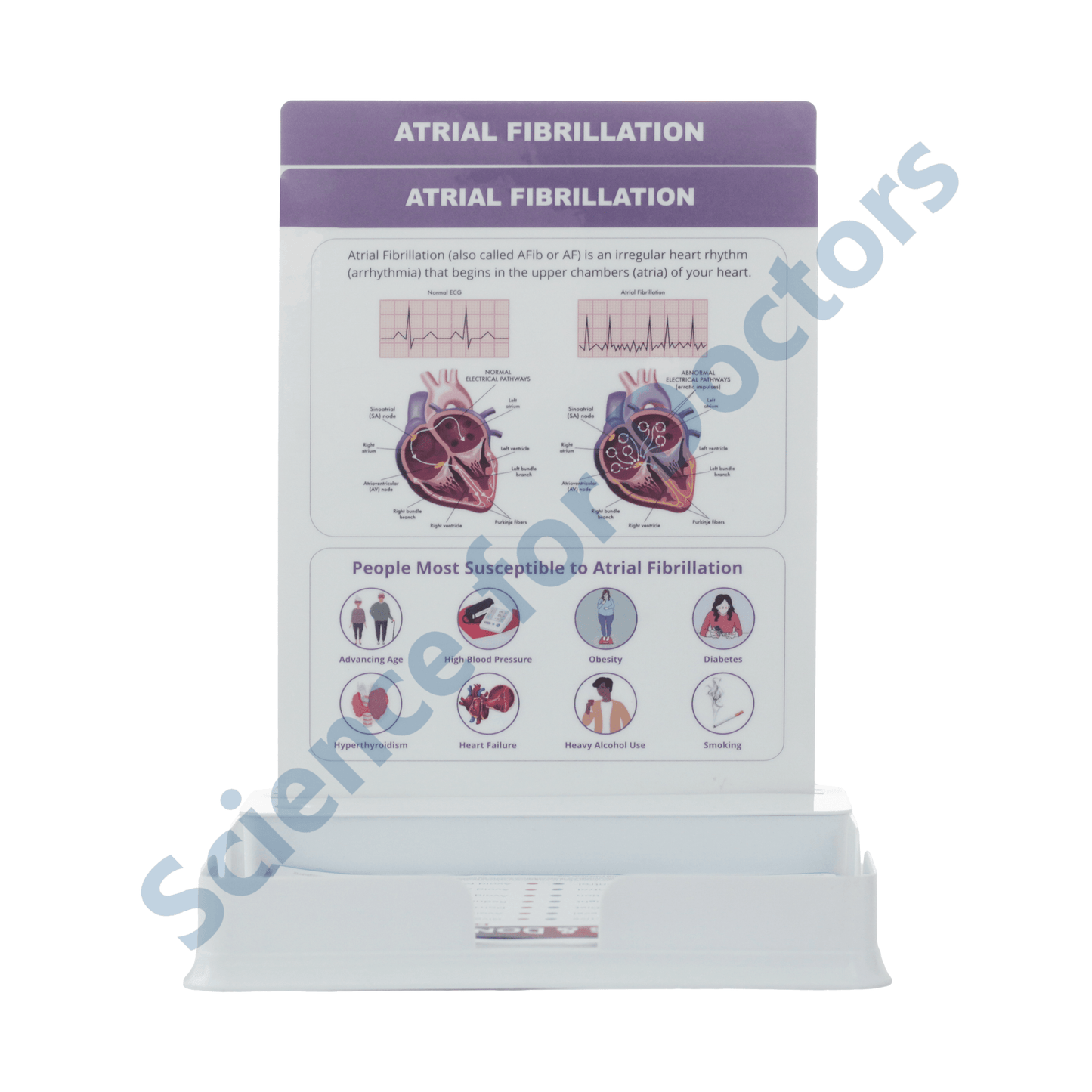 Atrial Fibrillation: 2 Slides Patient Leaflet Tray