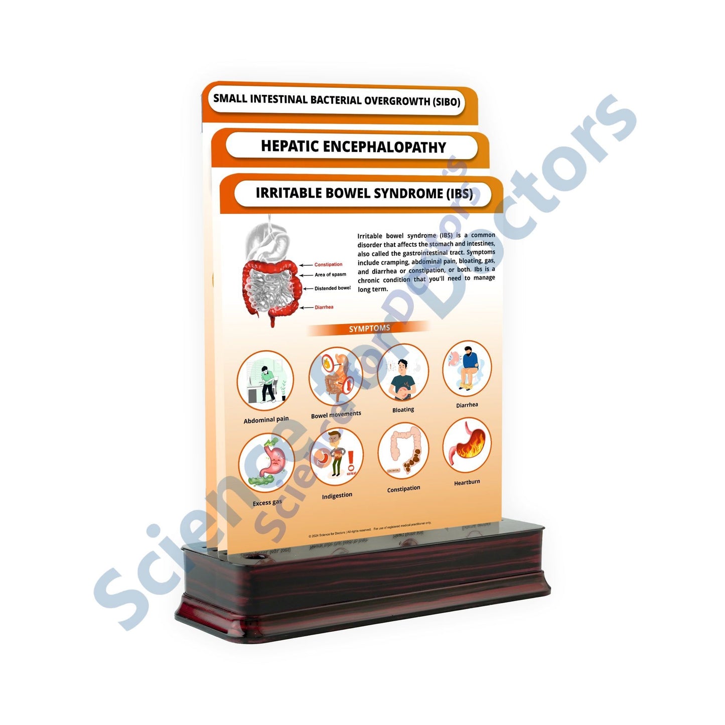 Irritable Bowel Syndrome (IBS): 3 Slides on Stand