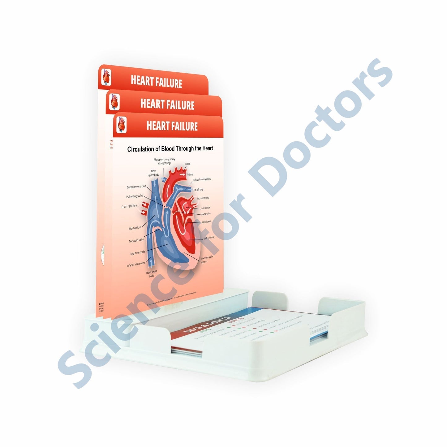 Heart Failure: 3 Slides Patient Leaflet Tray