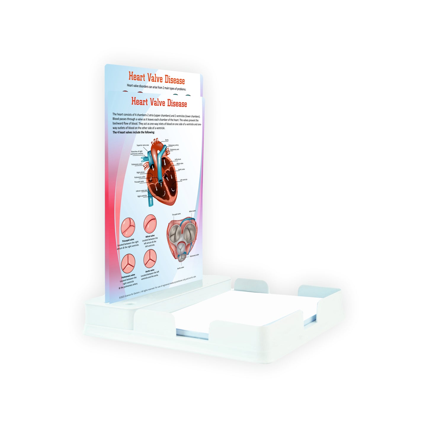 Heart Valve Disease: 2 Slides With Tray