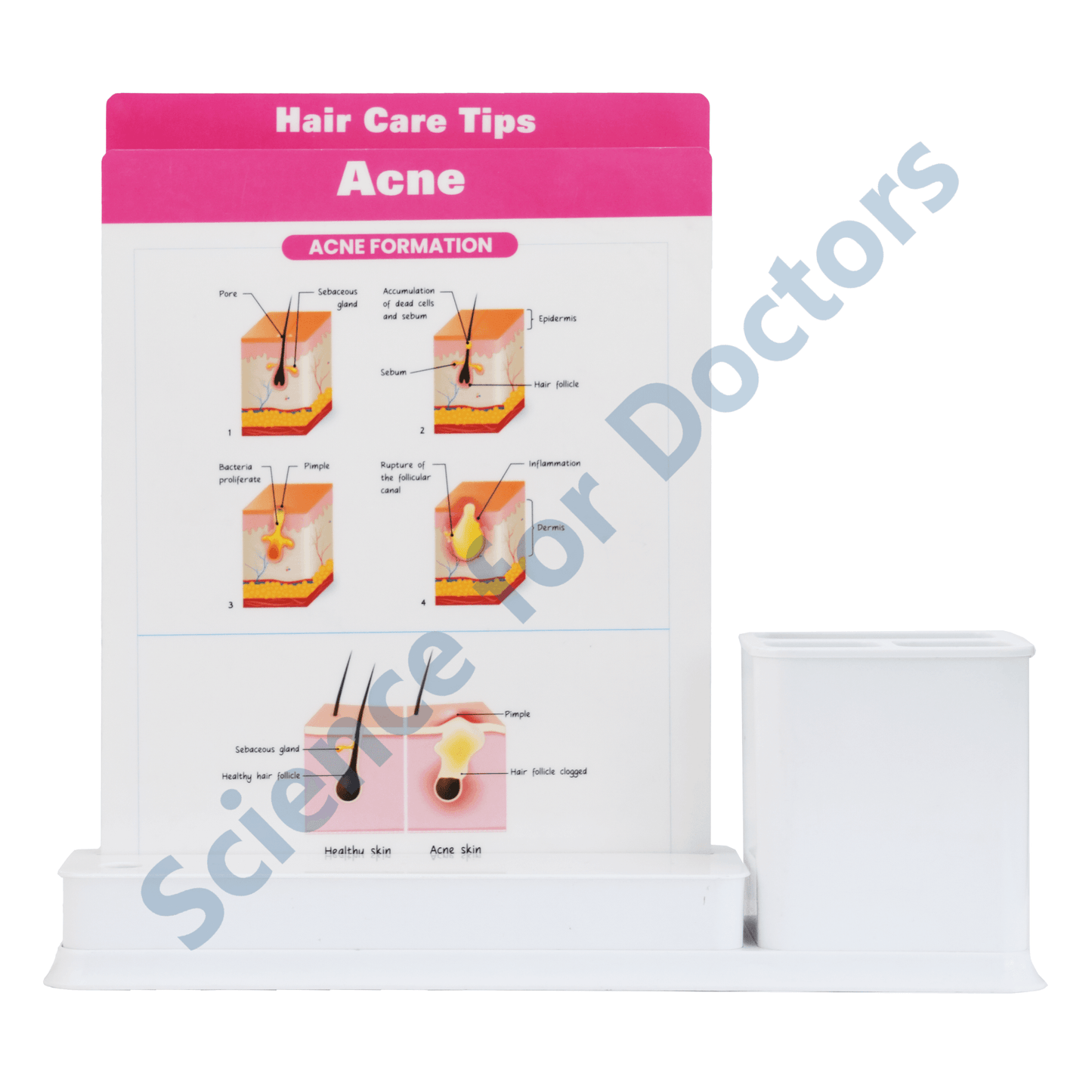 Acne: 2 slide on stand with Stationary stand