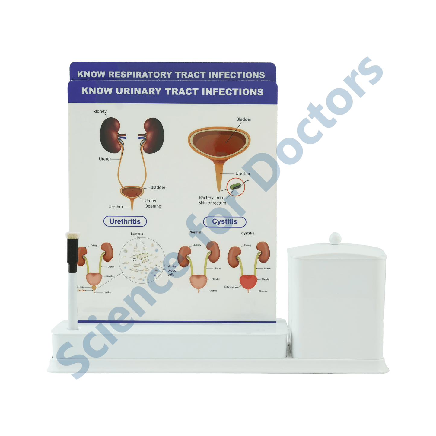 UTI: 2 slide on stand with Stationary stand