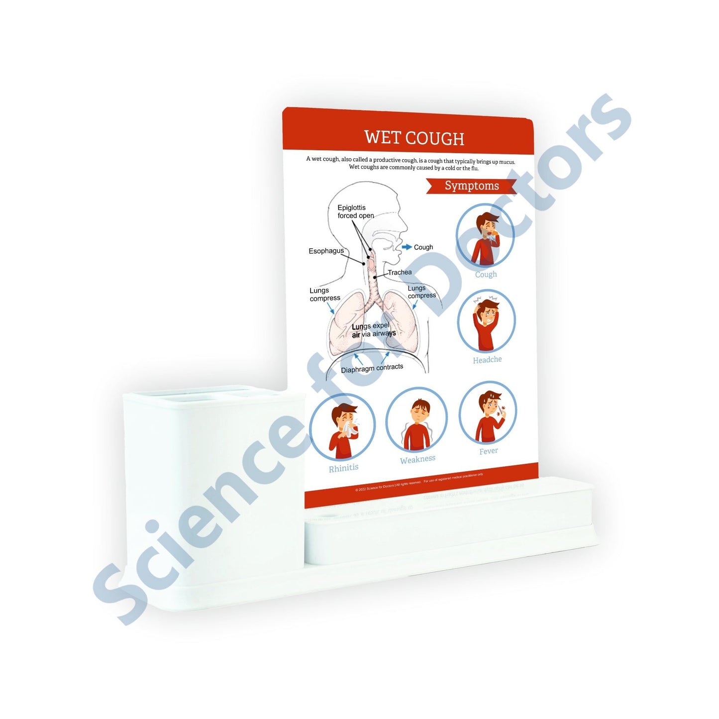 WET COUGH: 1 Slides Write & Wipe with Stationary Stand