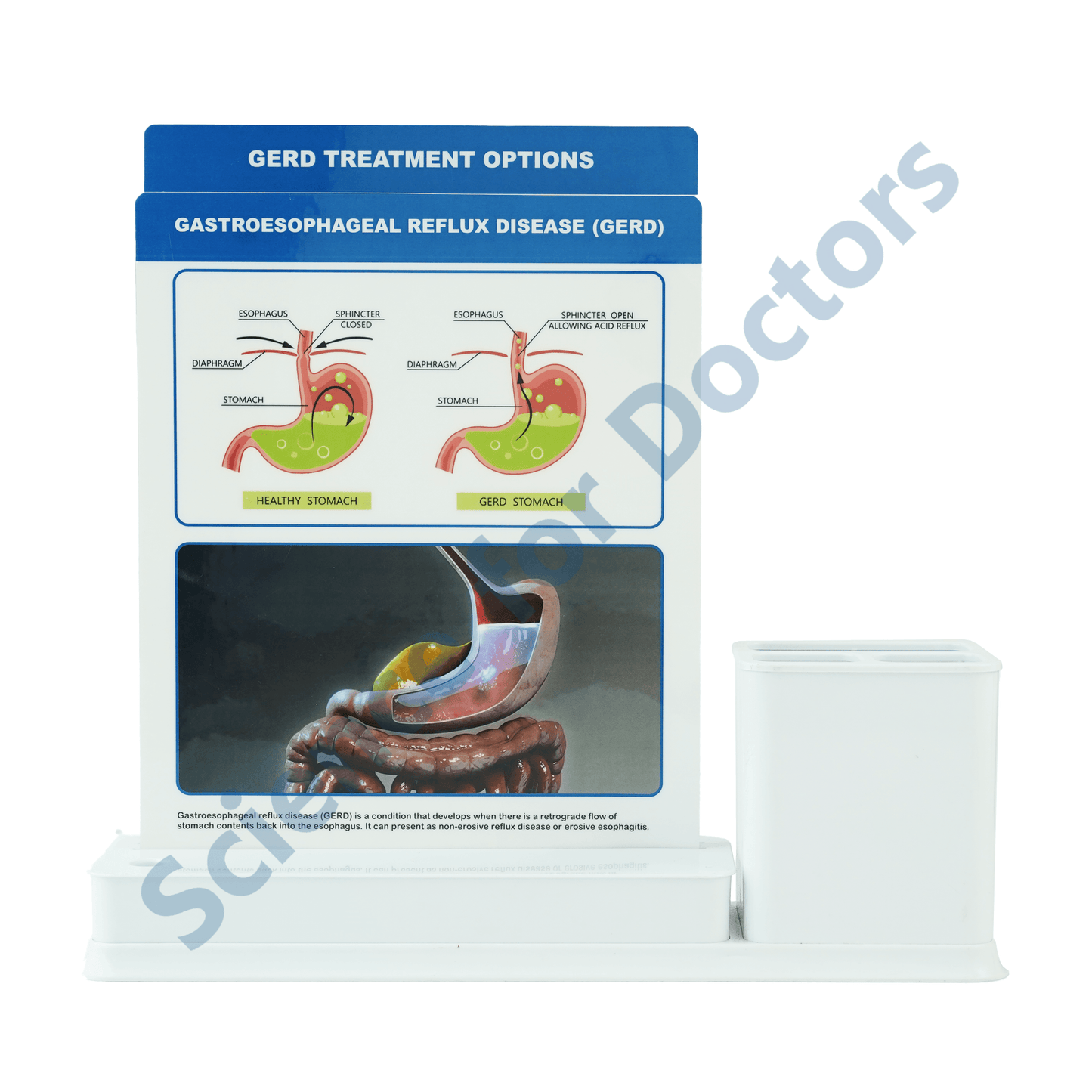 GERD: 2 slide on stand with Stationary stand