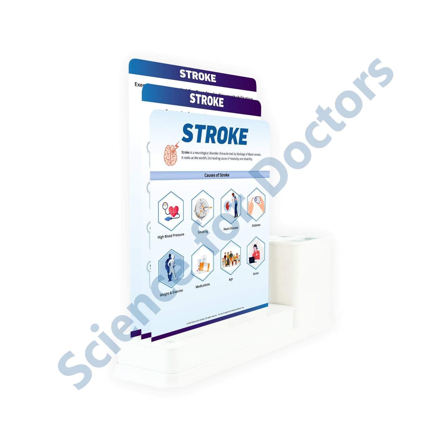 Stroke: 3 Slides Write & Wipe with Stationary Stand