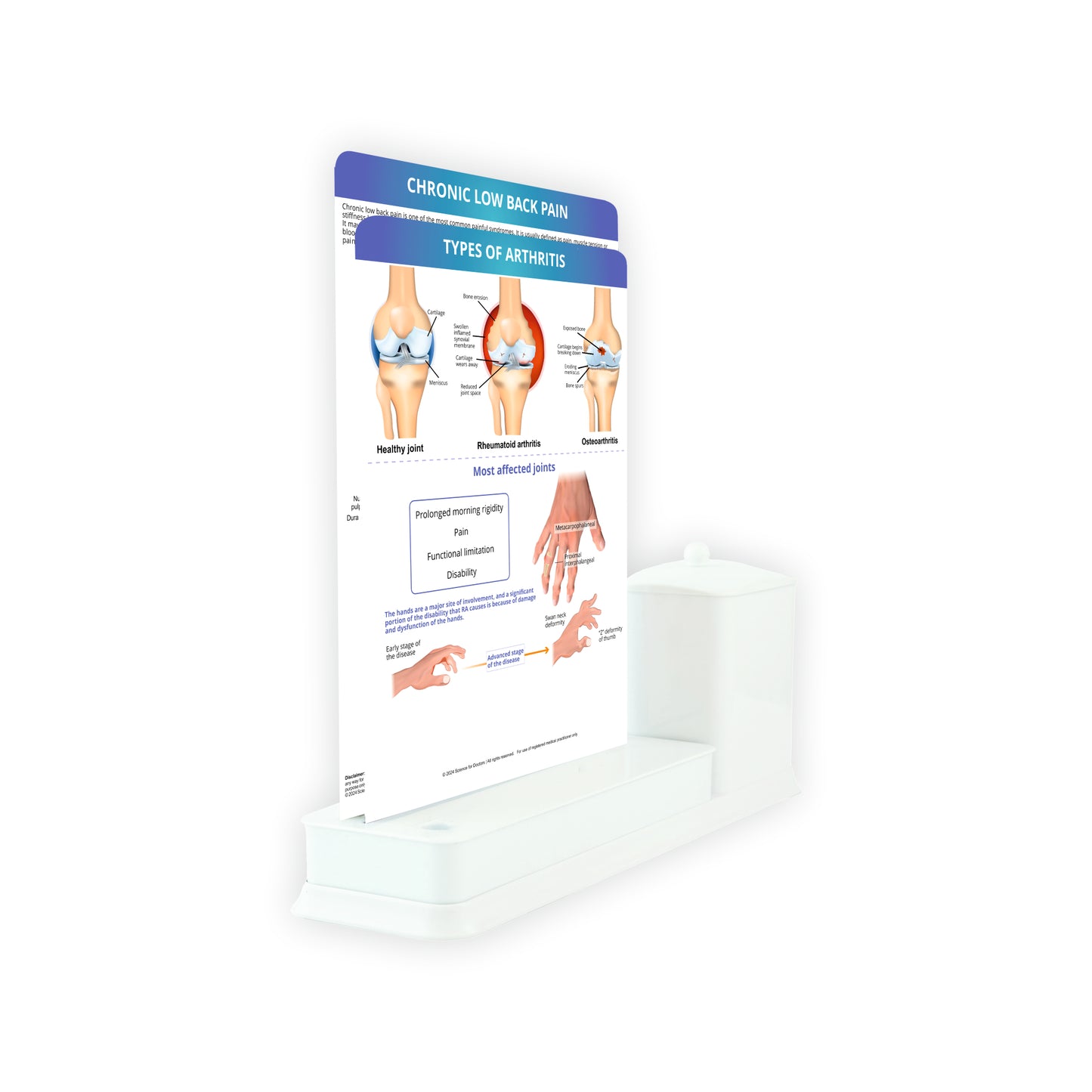 2 Slides Write & Wipe with Utility Container  - Types of Arthritis