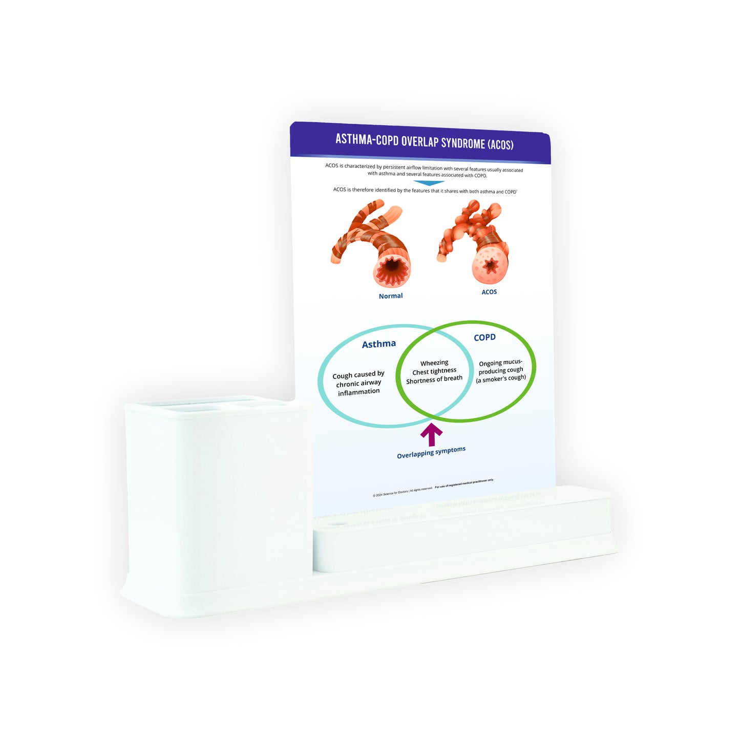 Asthma-COPD Overlap Syndrome (ACOS): 1 Slide Write & Wipe with Stationary Stand