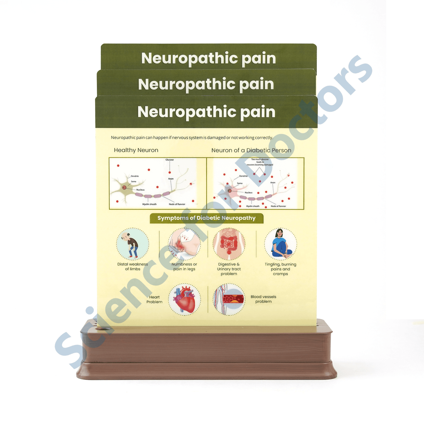 Neuropathic Pain (1): 3 slide on stand