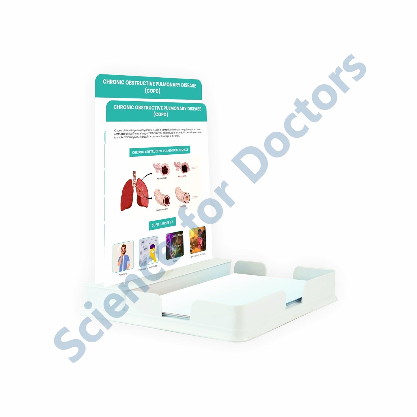 Chronic Obstructive Pulmonary Disease: 2 Slides Patient Leaflet Tray