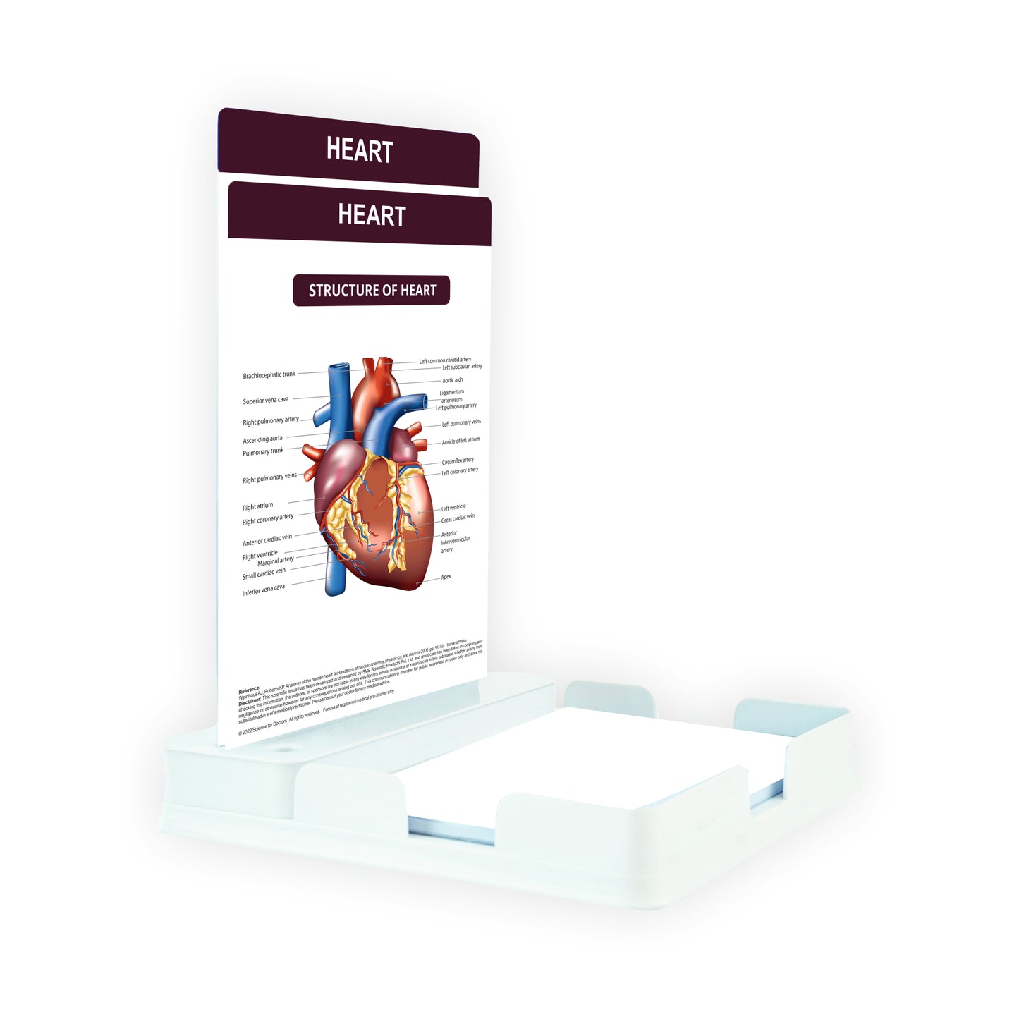 Heart: 2 Slides With Tray