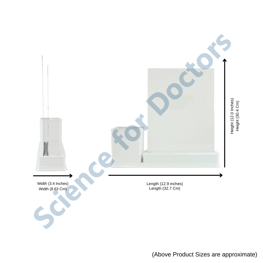 2 Slides Write & Wipe with Stationary Stand  - Anatomy of Eye