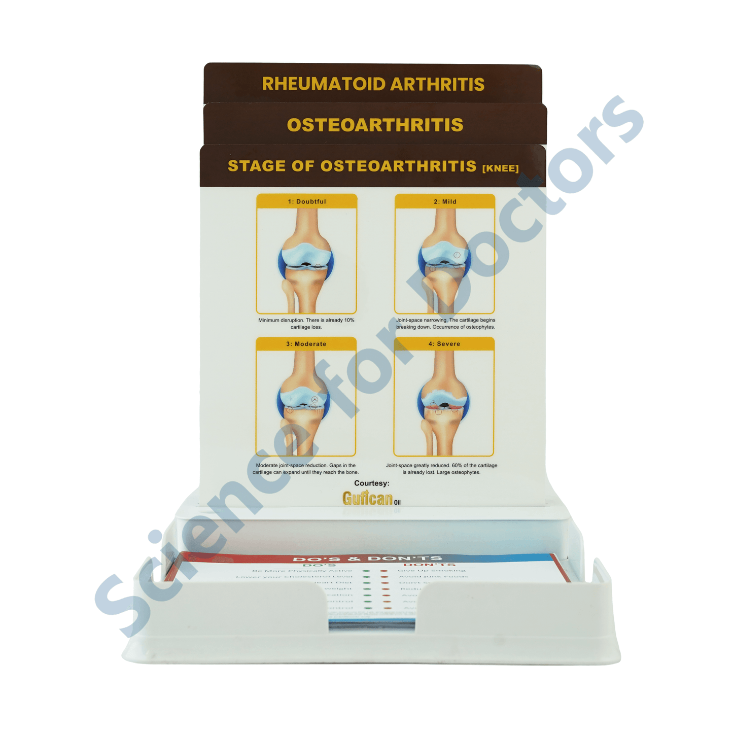 Osteoarthritis: 3 Slides Patient Leaflet Tray