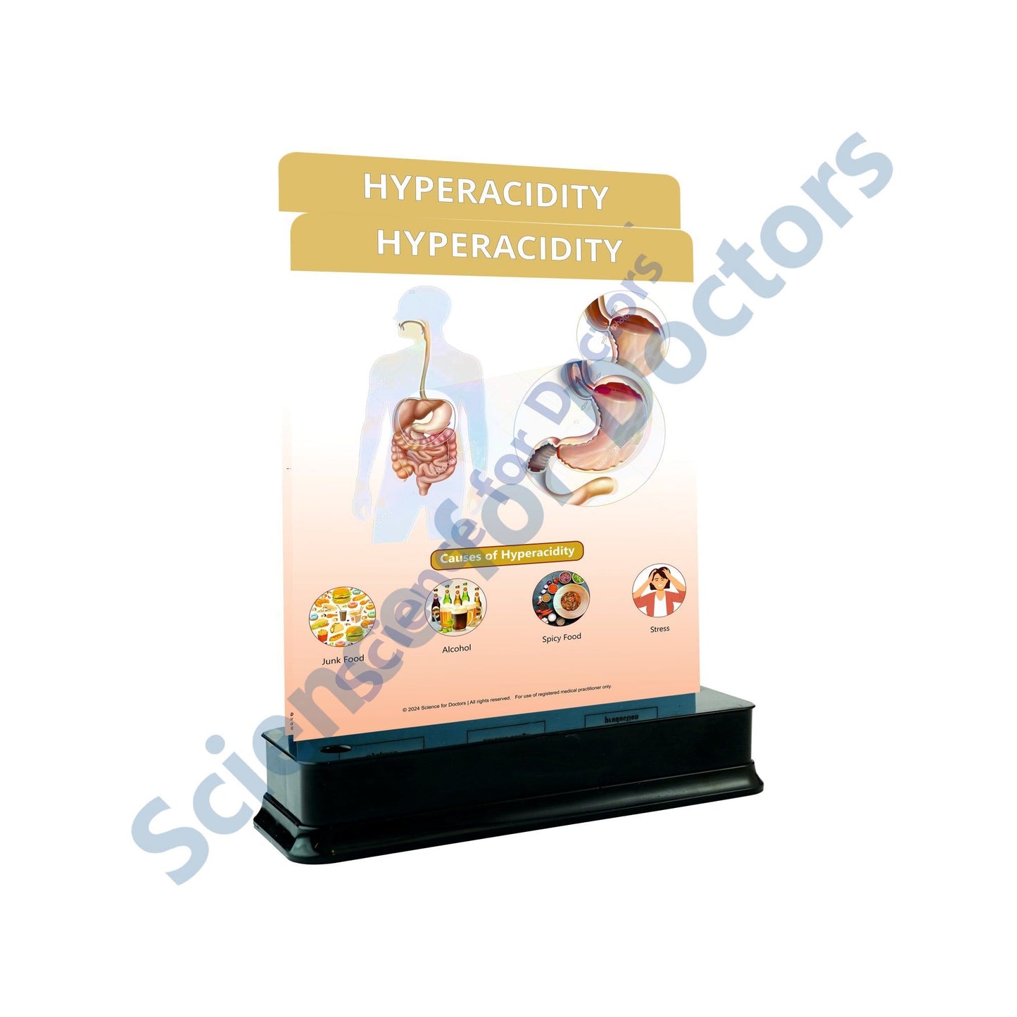 Hyperacidity: 2 Slide on stand