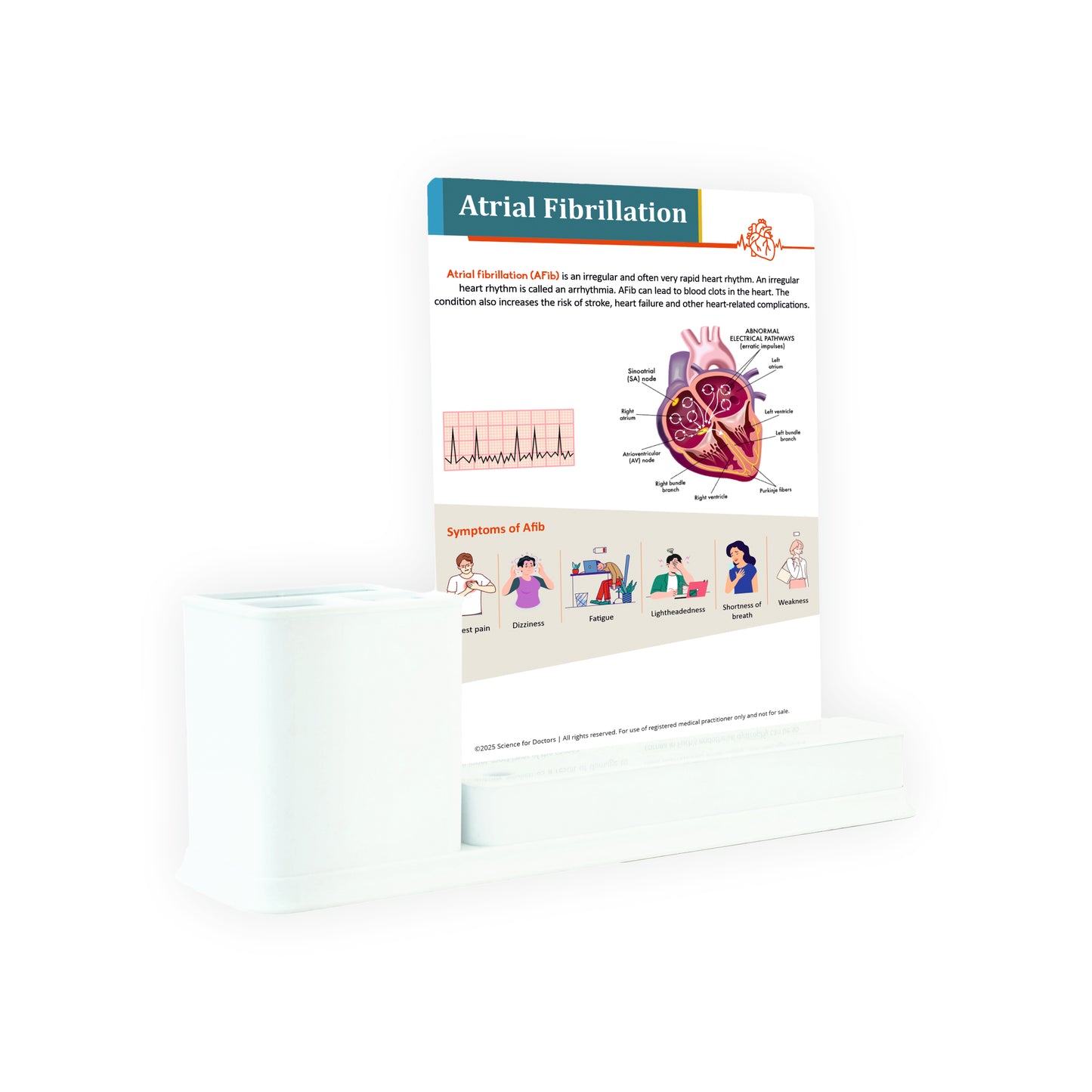 Atrial Fibrillation: 1 Slides Write & Wipe with Stationary Stand
