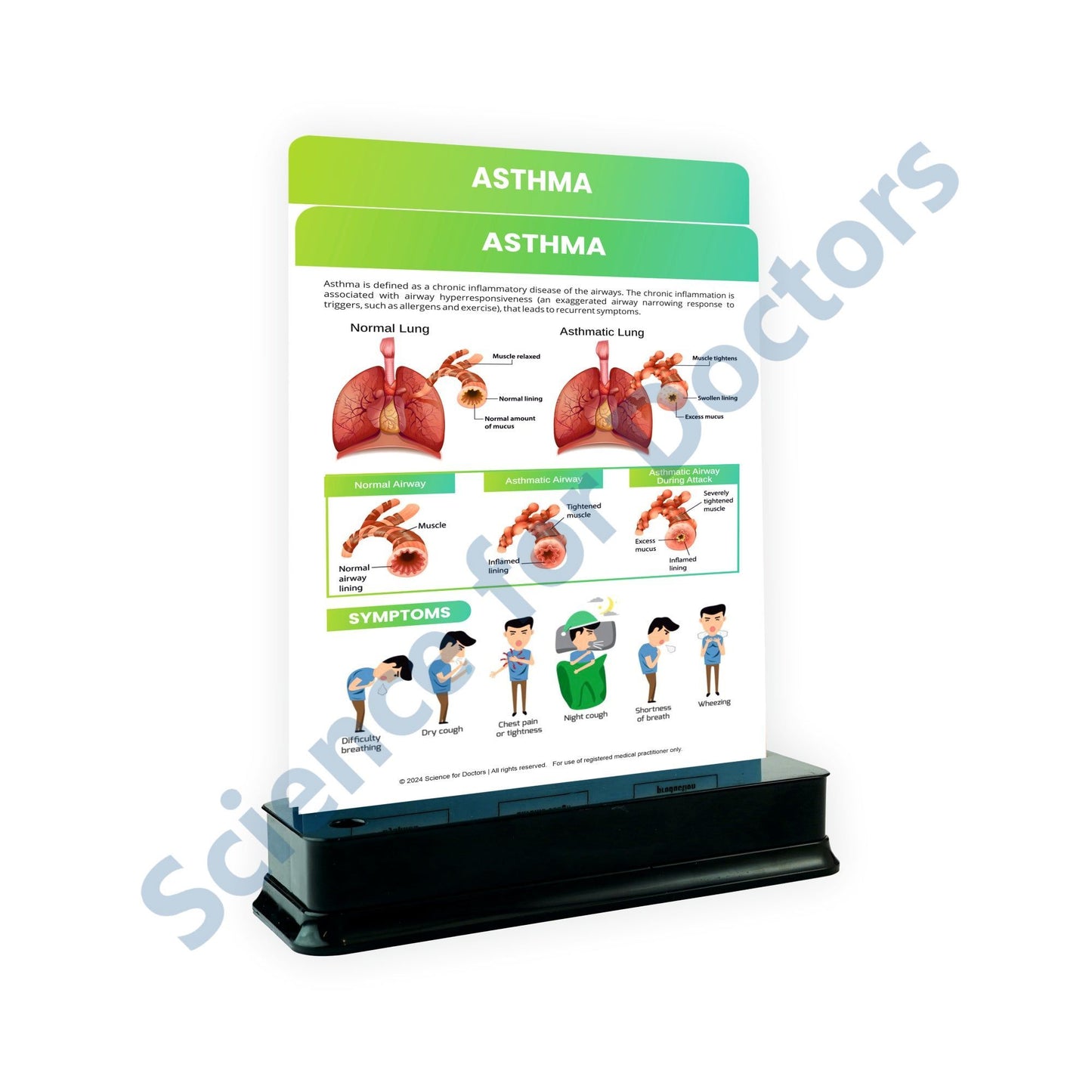 Asthma: 2 Slides on stand