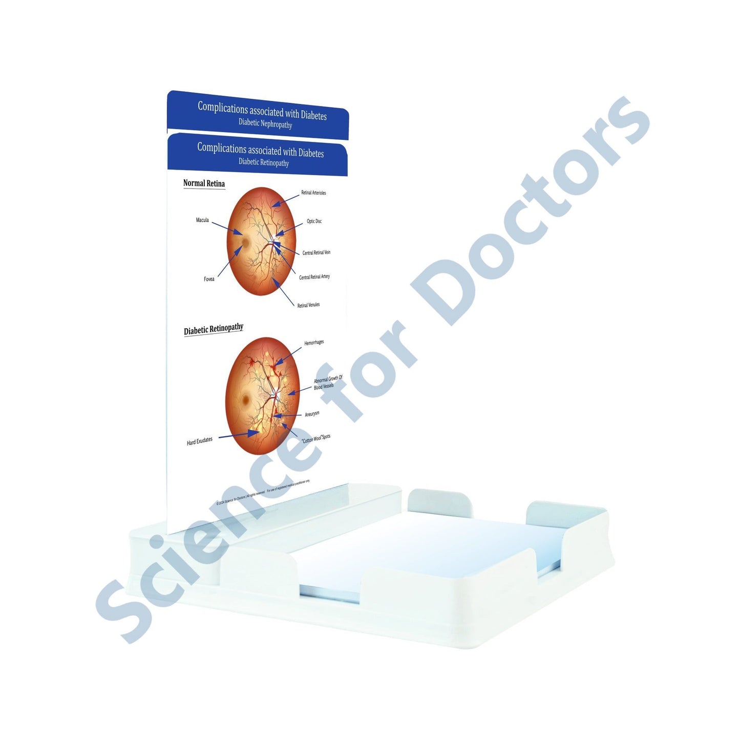 Complications associated with Diabetes: 2 Slides Patient Leaflet Tray