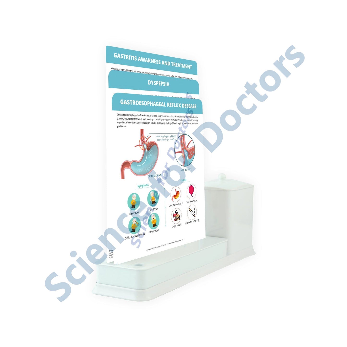 Gastroesophageal Reflux Disease: 3 Slide Write Wipe With Utility Container