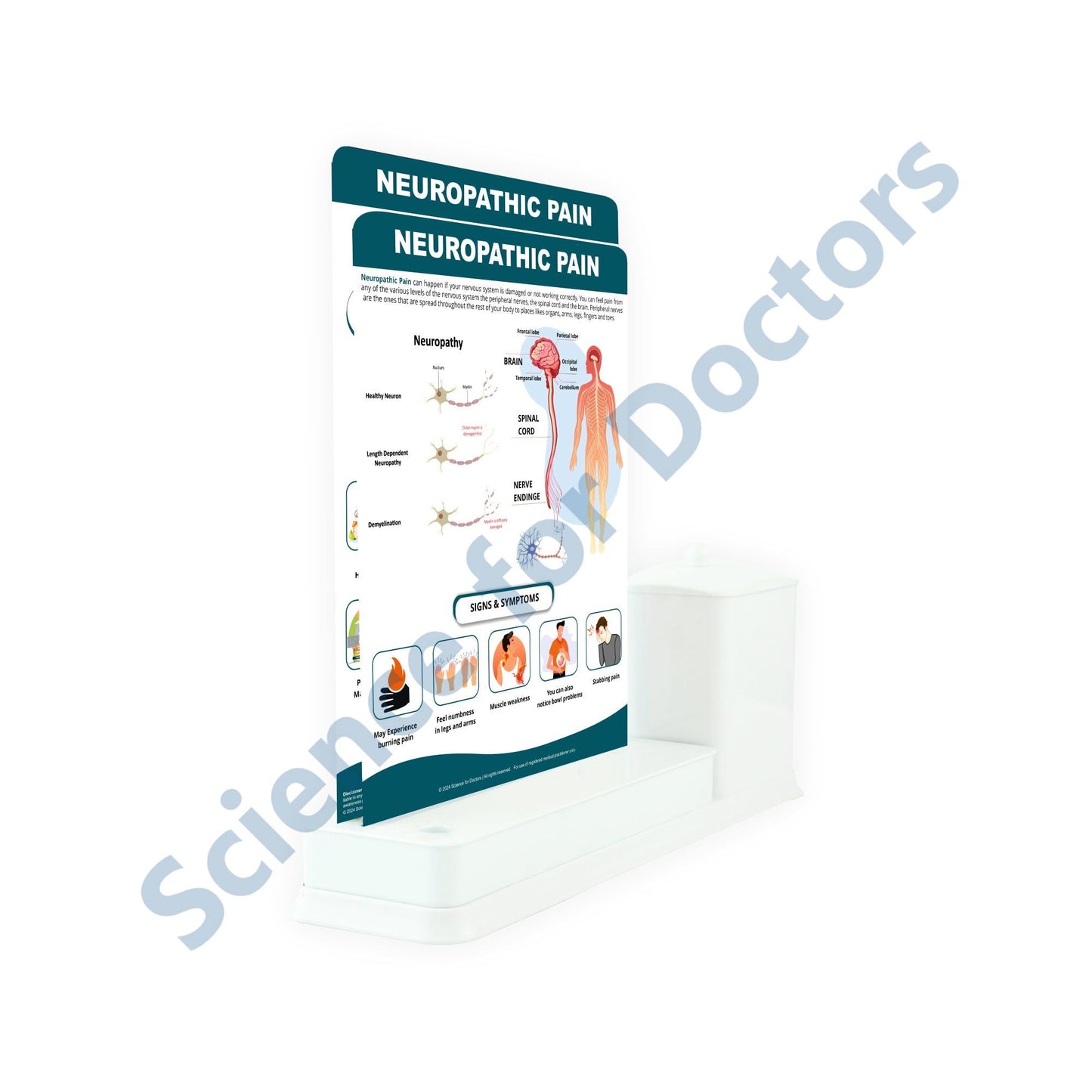 Neuropathic Pain: 2 Slide Write Wipe With Utility Container