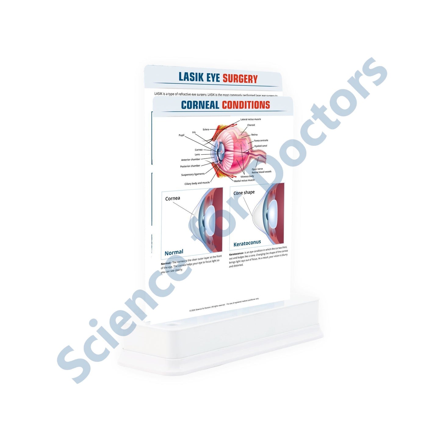 Corneal Conditions - 2 Slide With Stand