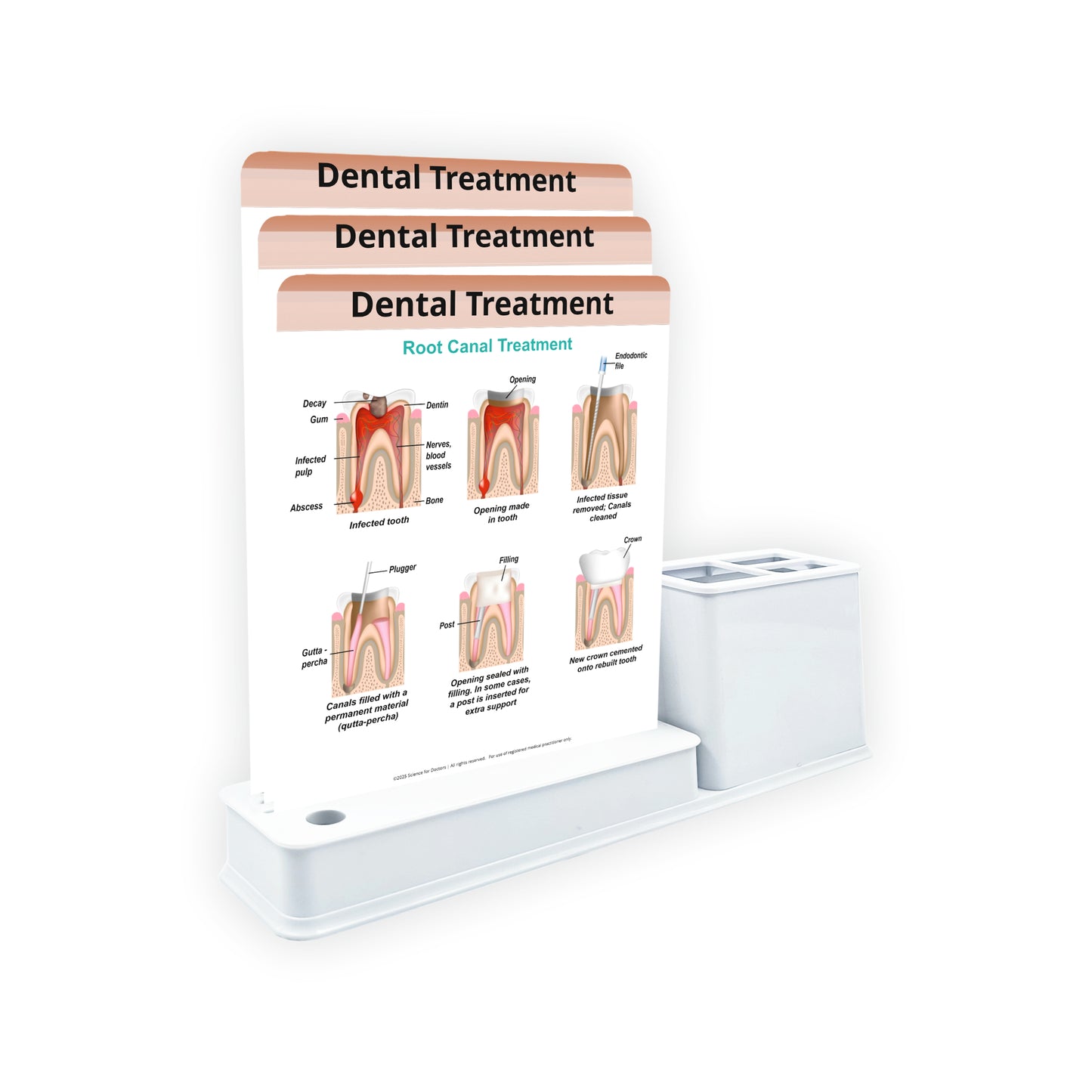 Smart - 3 Slides Write & Wipe With Stationary Stand - Dental Treatment