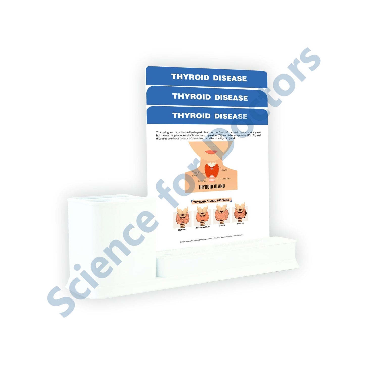 3 Slide Write Wipe With Stationery Stand - Thyroid Disease