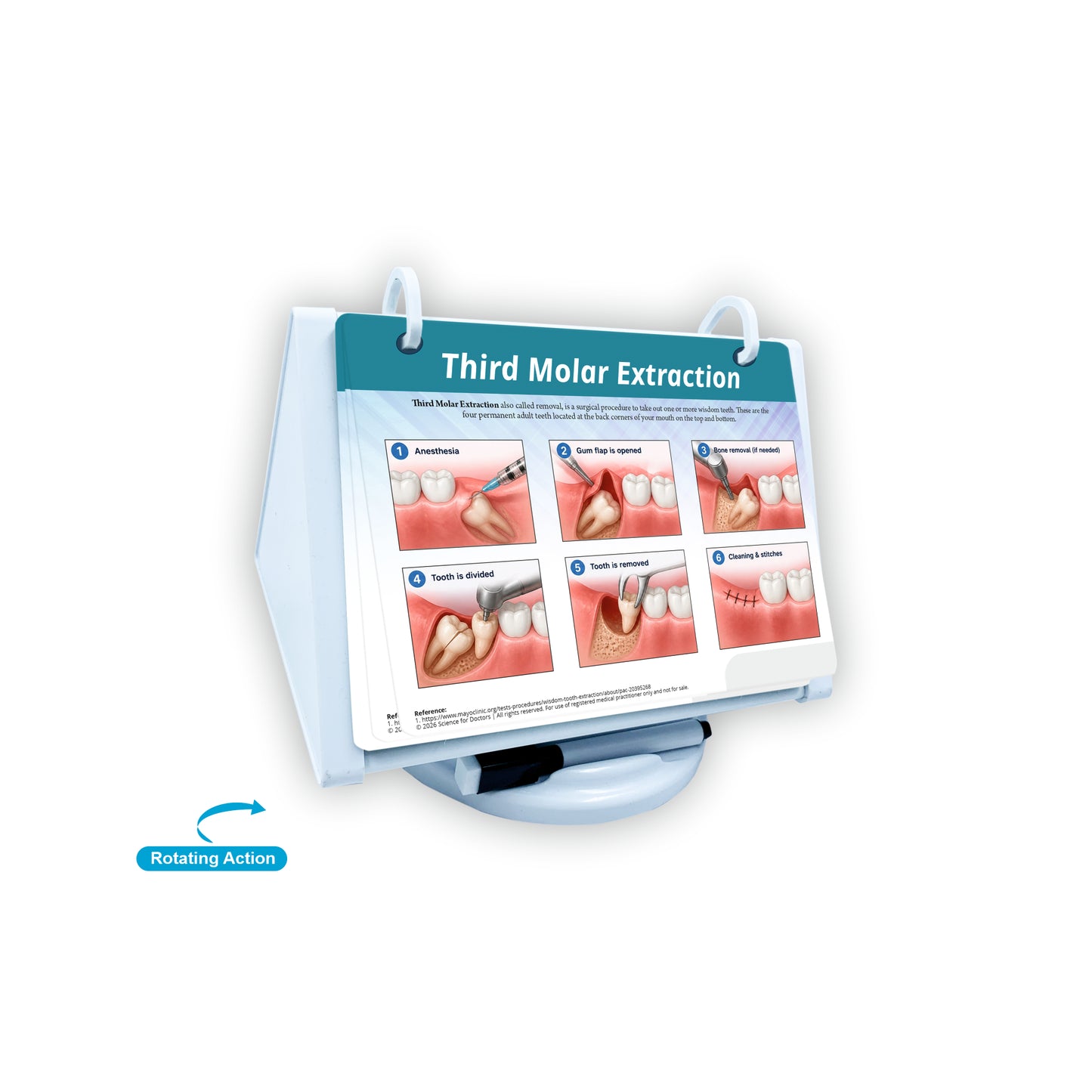ROTRI - H WITH FLIP WIPES ON TOPS  - Dental Anatomy