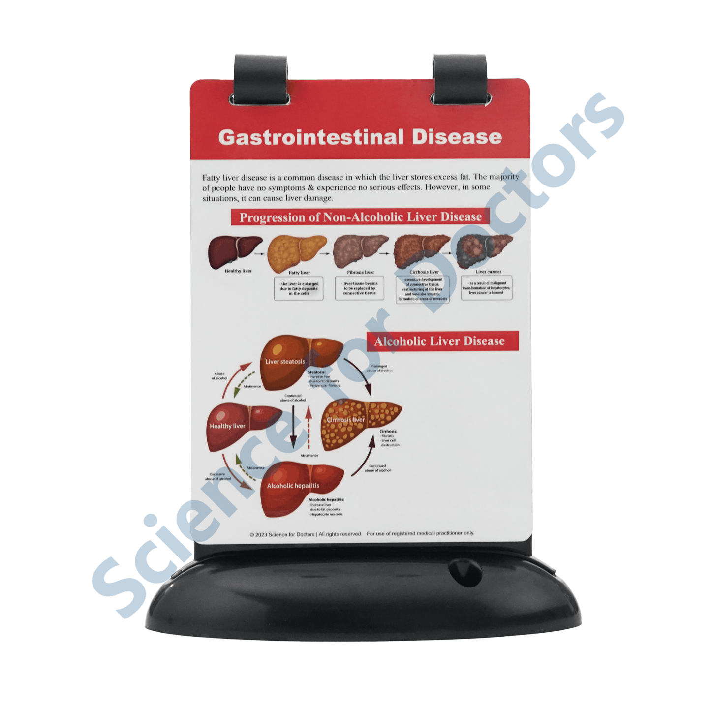 Gastrointestinal Disease: A5 Flip Wipe