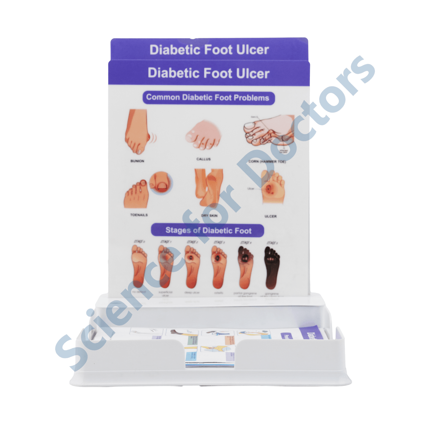 Diabetic Foot Ulcer: 2 Slides Patient Leaflet Tray