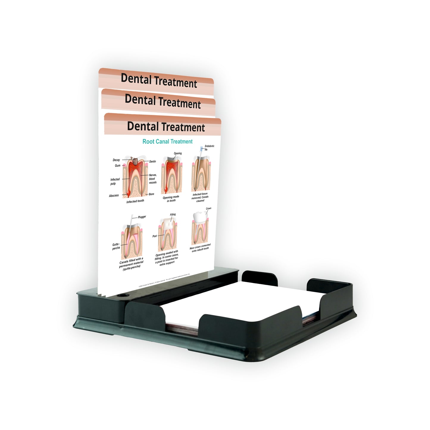 3 Slides With Tray - Dental Treatment