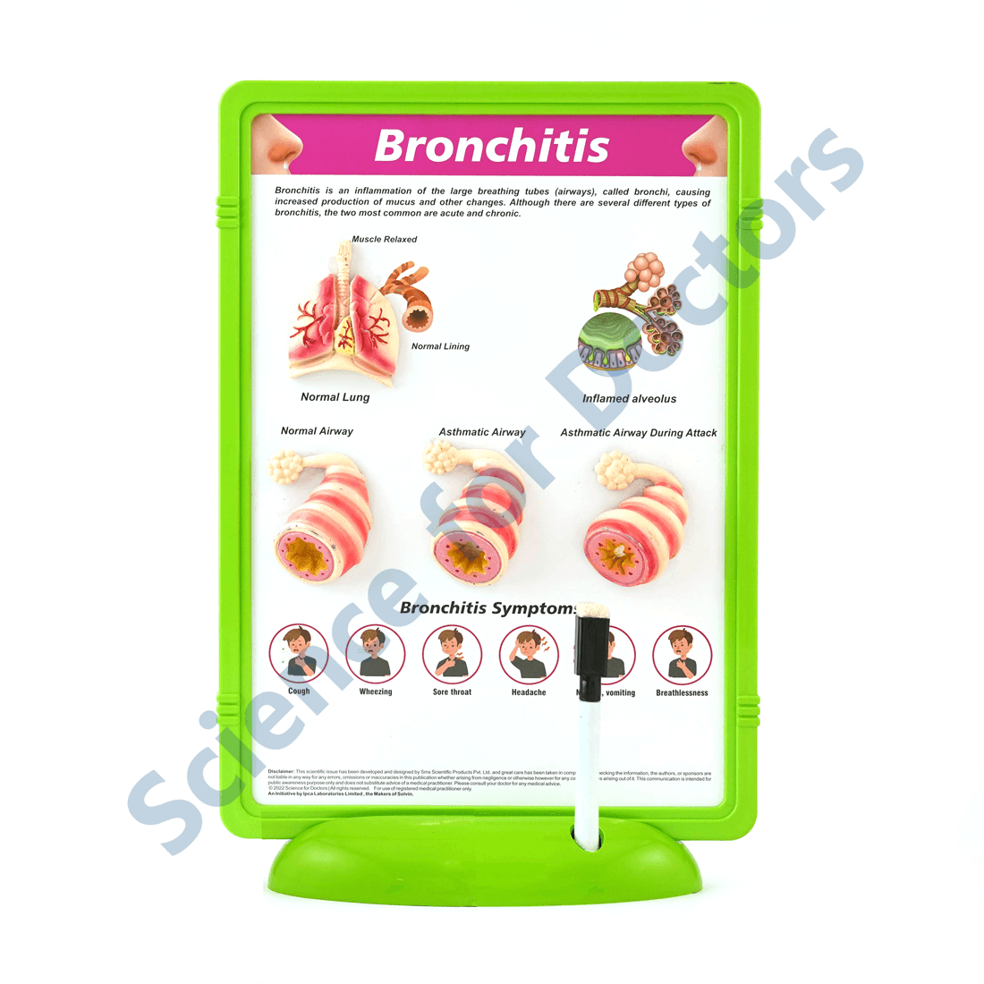 Bronchitis: 3D Therapy Frame