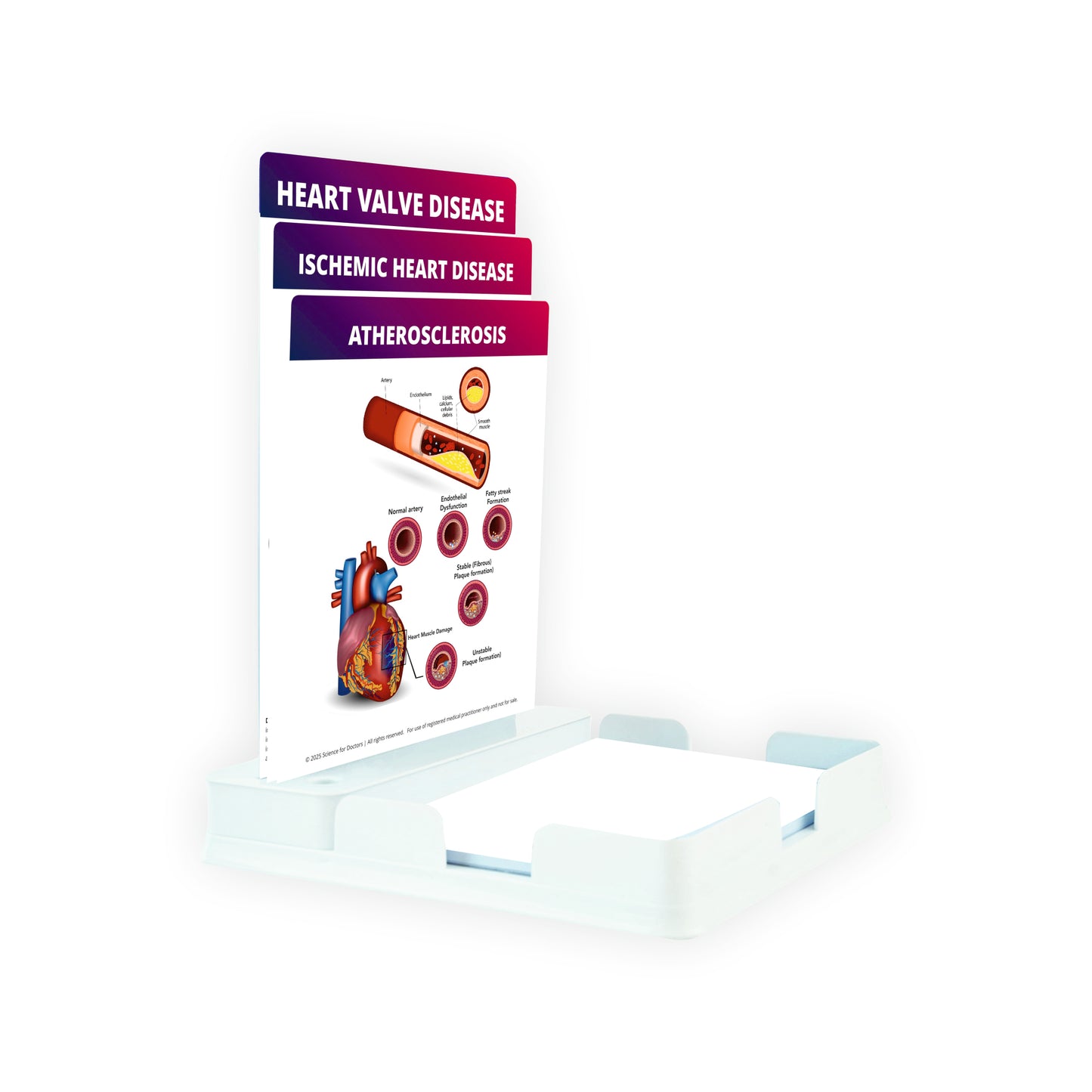 Atherosclerosis: 3 Slides With Tray