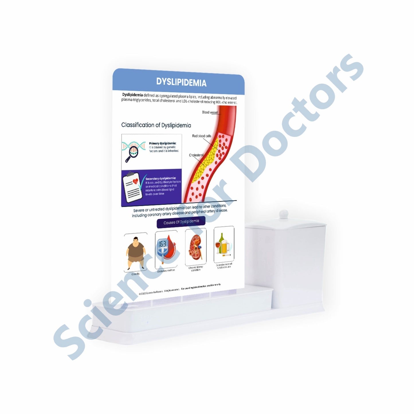 Dyslipidemia: 1 Slide Write Wipe With Utility Container