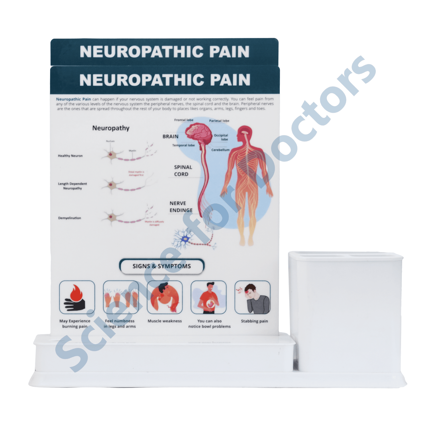 Neuropathic Pain: 2 slide on stand with Stationary stand