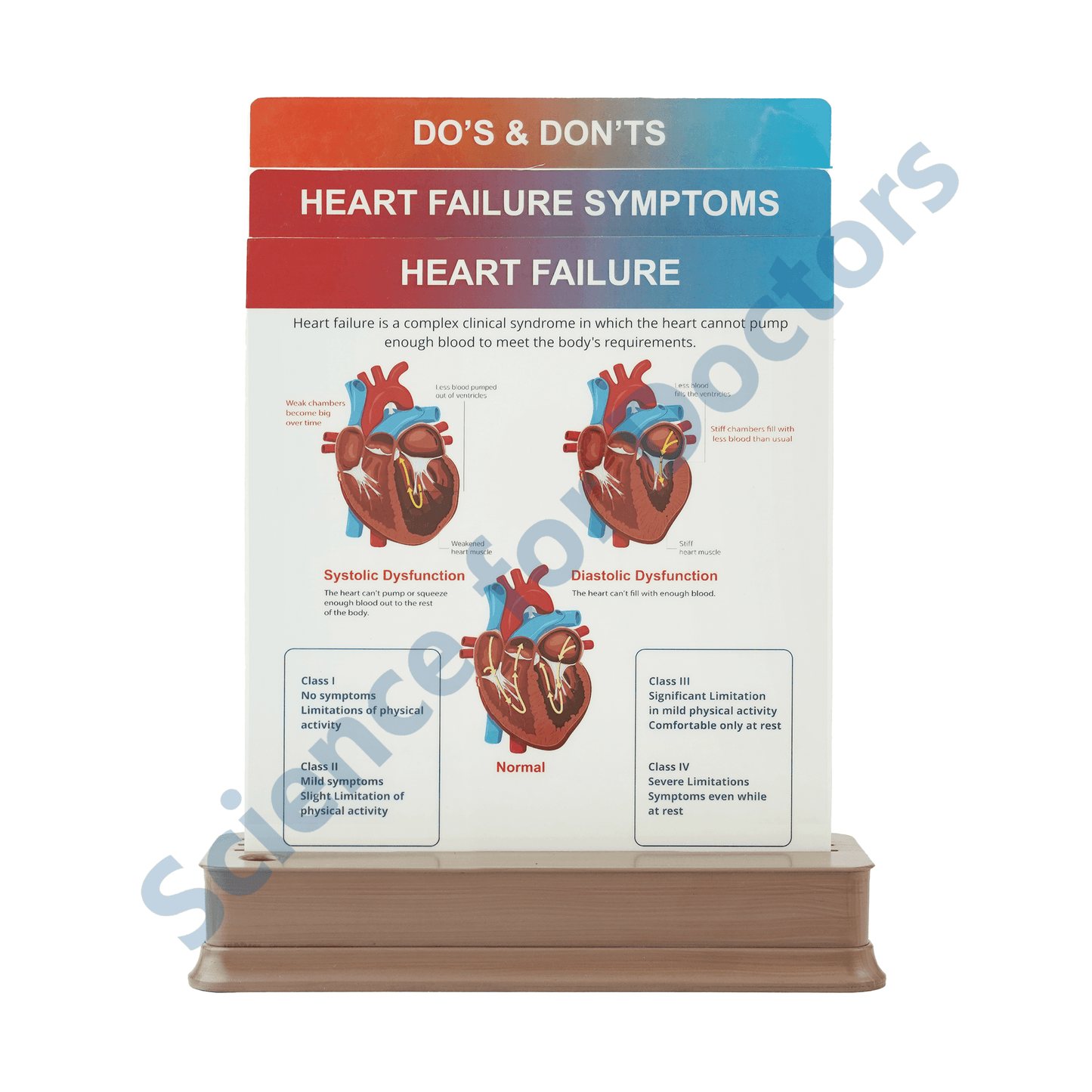 Heart Failure: 3 slide on stand