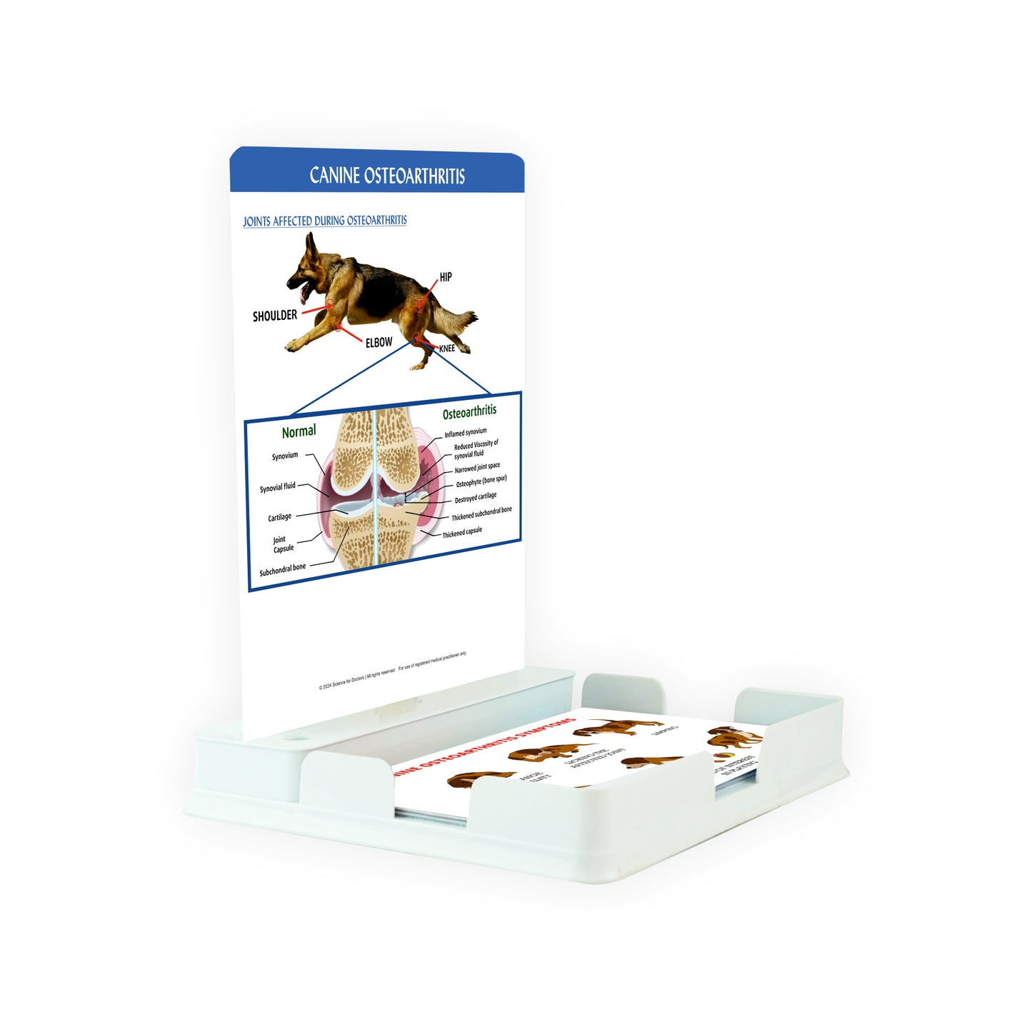 Canine Osteoarthritis: 1 Slide with Patient Leaflet Tray