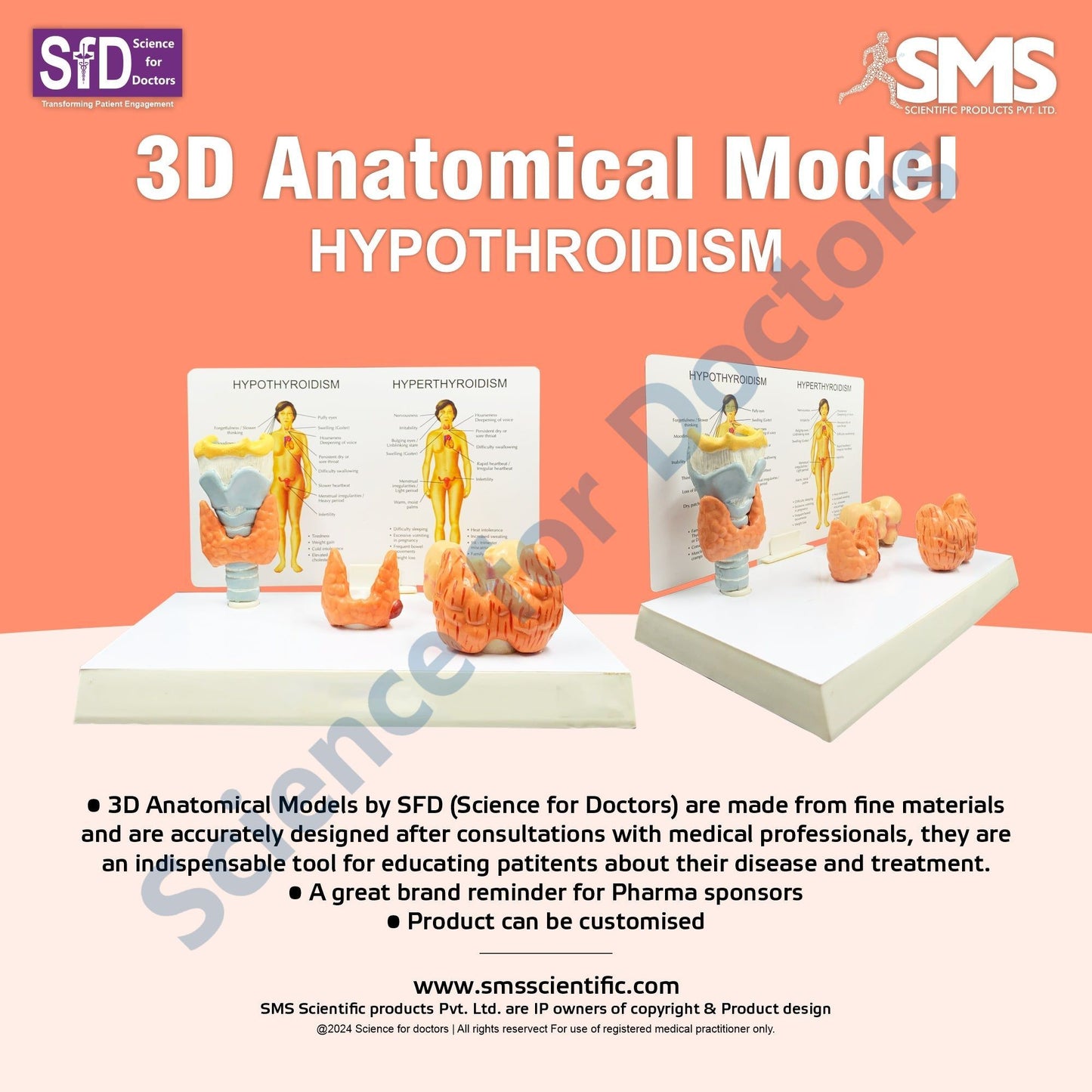 Hypothyroidism: 3D Anatomical Models