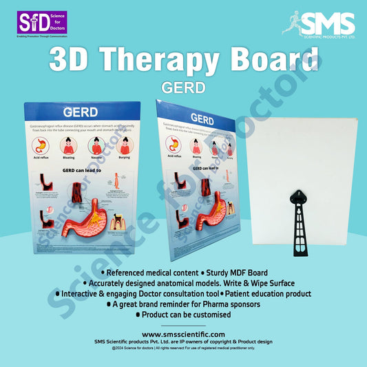 GERD: 3D Therapy Board