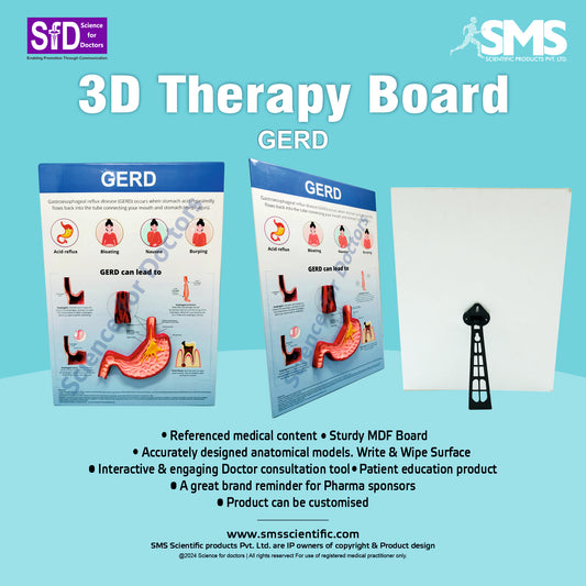 GERD: 3D Therapy Board
