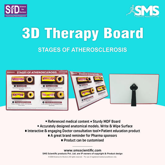 3D Therapy Board - Stages of Atherosclerosis