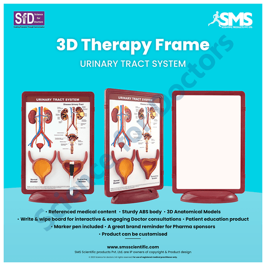 Urinary Tract System: 3D Therapy Frame