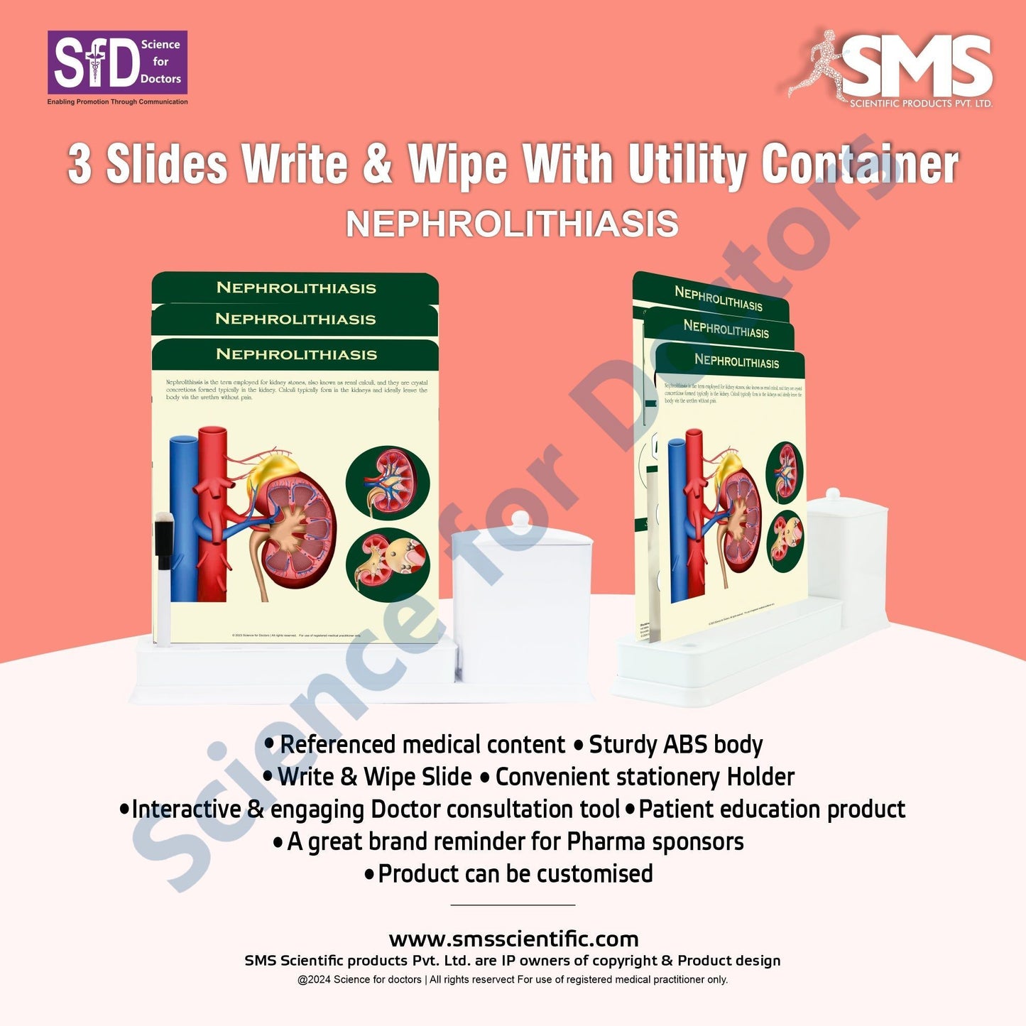 Nephrolithiasis: 3 Slides Write Wipe With Utility Container