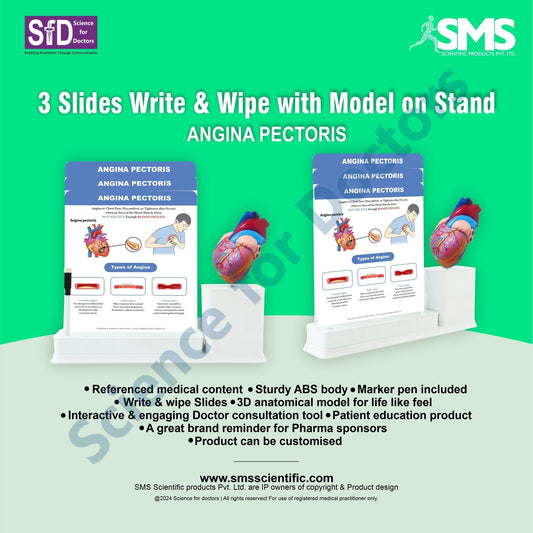 Angina Pectoris: 3 Slides Write & Wipe With Model On Stand