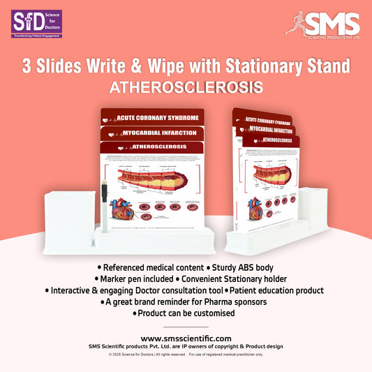 Atherosclerosis: 3 Slides Write & Wipe with Stationary Stand