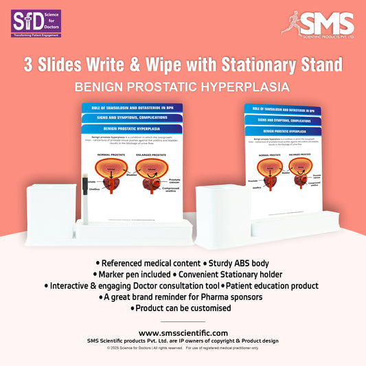 Benign Prostatic Hyperplasia_1: 3 Slides Write & Wipe with Stationary Stand