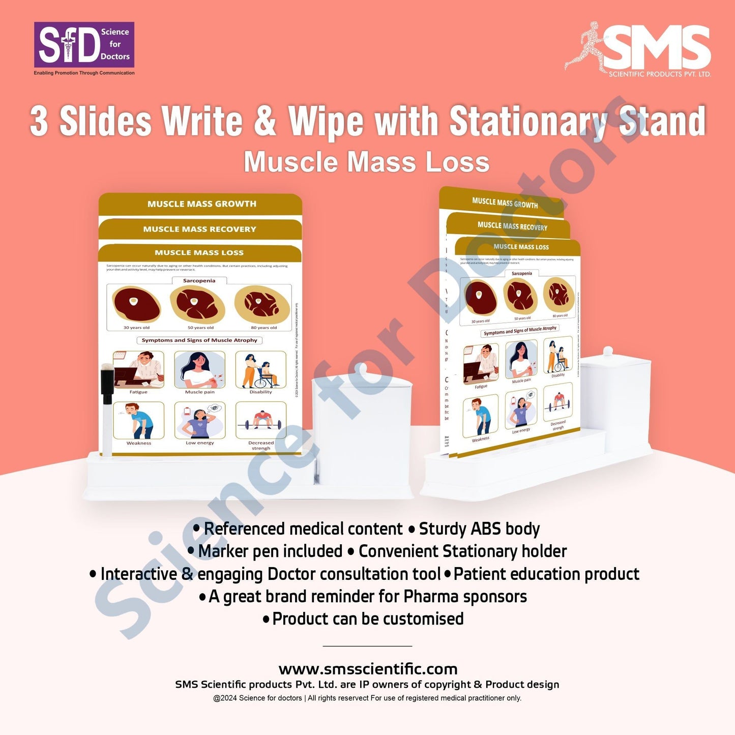 Muscle Mass Loss: 3 Slides Write & Wipe with Stationary Stand