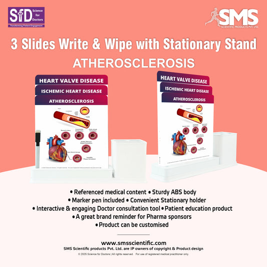 Plaque Rupture and Thrombosis: 3 Slides Write & Wipe with Stationary Stand