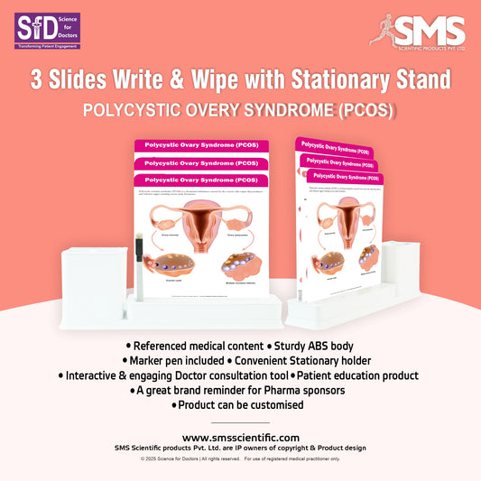 Polycystic Ovary Syndrome (PCOS): 3 Slides Write & Wipe With Stationary Stand