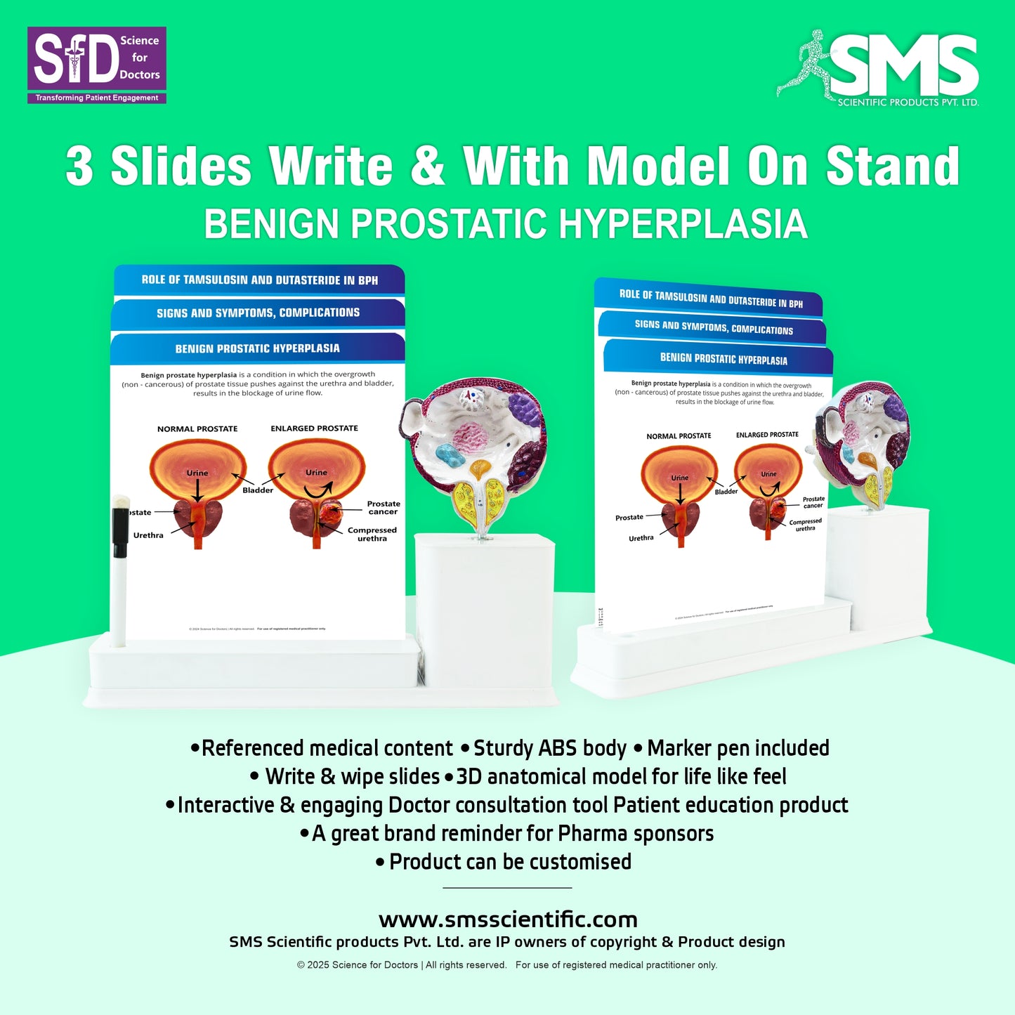 Benign Prostatic Hyperplasia : 3 Slides Write & Wipe With Model On Stand