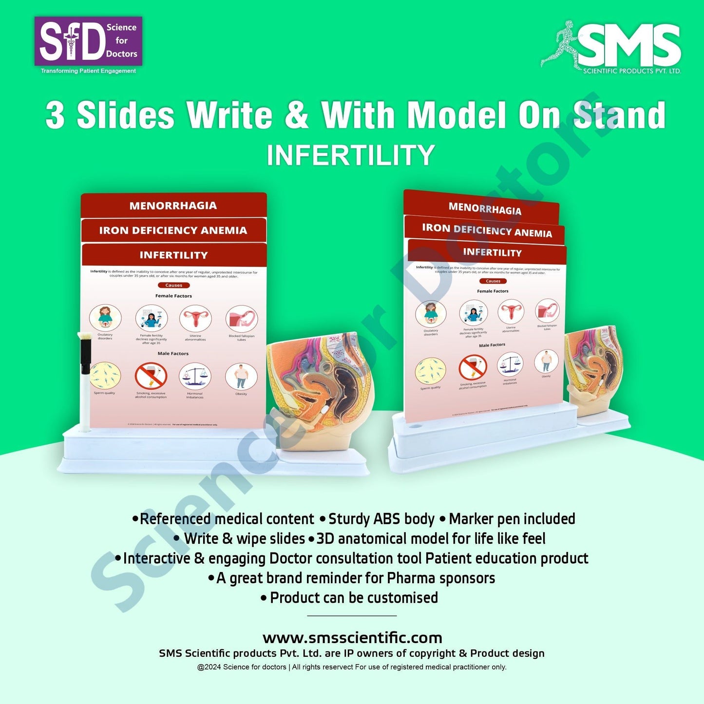 Infertility: 3 Slides Write & Wipe With Model On Stand