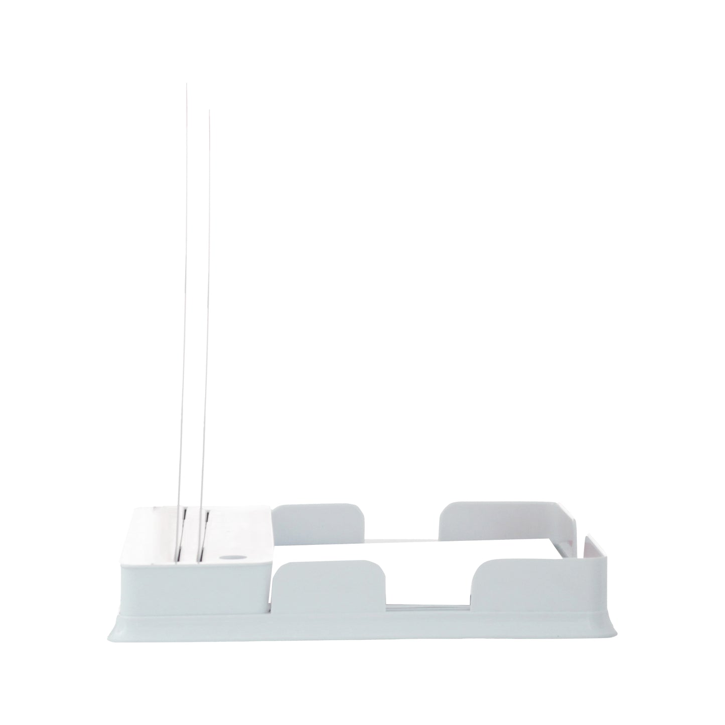 Heart: 2 Slides With Tray